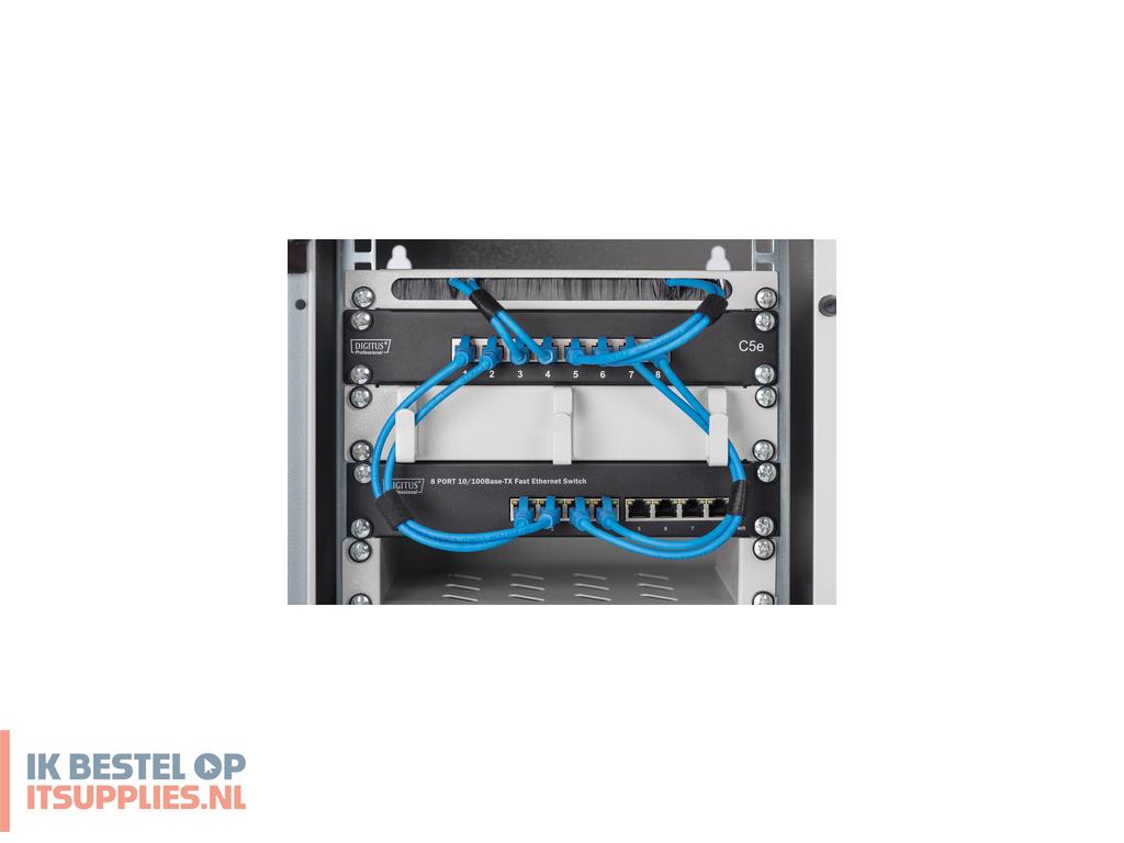 0302368-digitus_dn-10-05u-1_rack_6u_wandrek_grijs