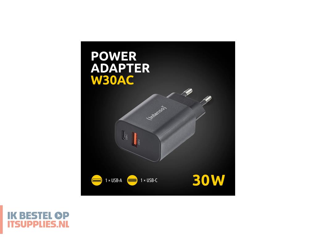5353892-intenso_7803010_netvoeding_inverter_binnen_30_w_zwart