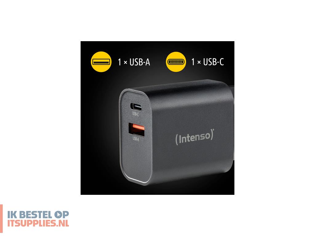 5402363-intenso_7803010_netvoeding_inverter_binnen_30_w_zwart