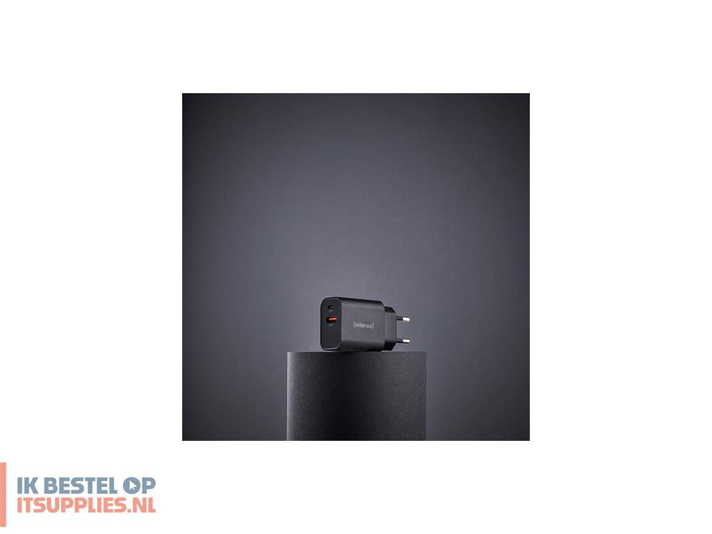 5409525-intenso_7803010_netvoeding_inverter_binnen_30_w_zwart