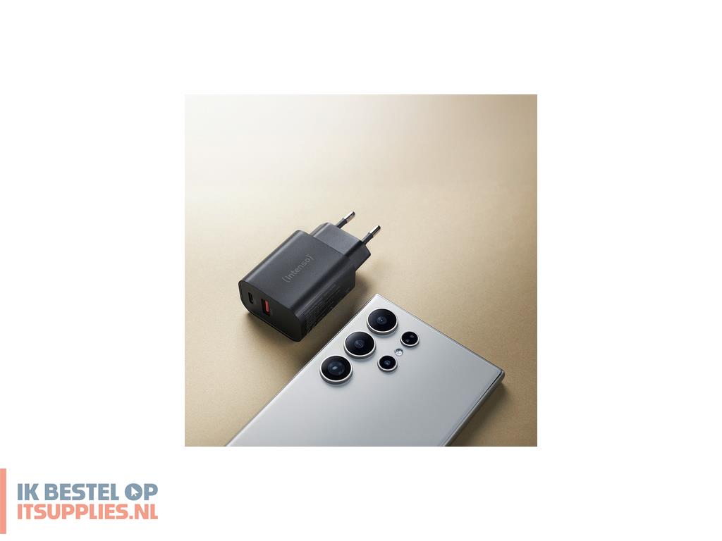 5411167-intenso_7803010_netvoeding_inverter_binnen_30_w_zwart