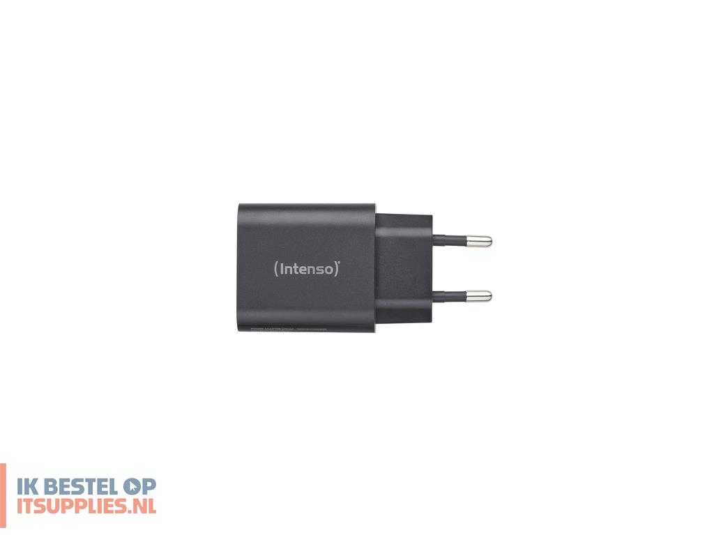 5417649-intenso_7803010_netvoeding_inverter_binnen_30_w_zwart