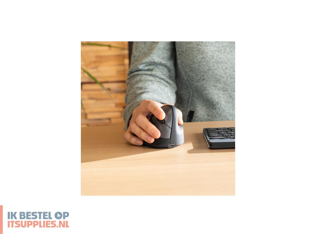 2434755-r-go_tools_rgohewl_muis_gamen_optisch_1750_dpi