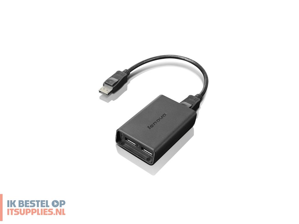 1632404-lenovo_displayport_to_dual-displayport_monitor_cable_usb_a_zwart